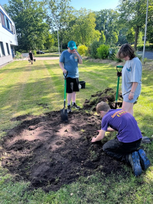 Projekt Wildblumenwiese 5